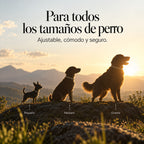 Templa® Collar Calmante