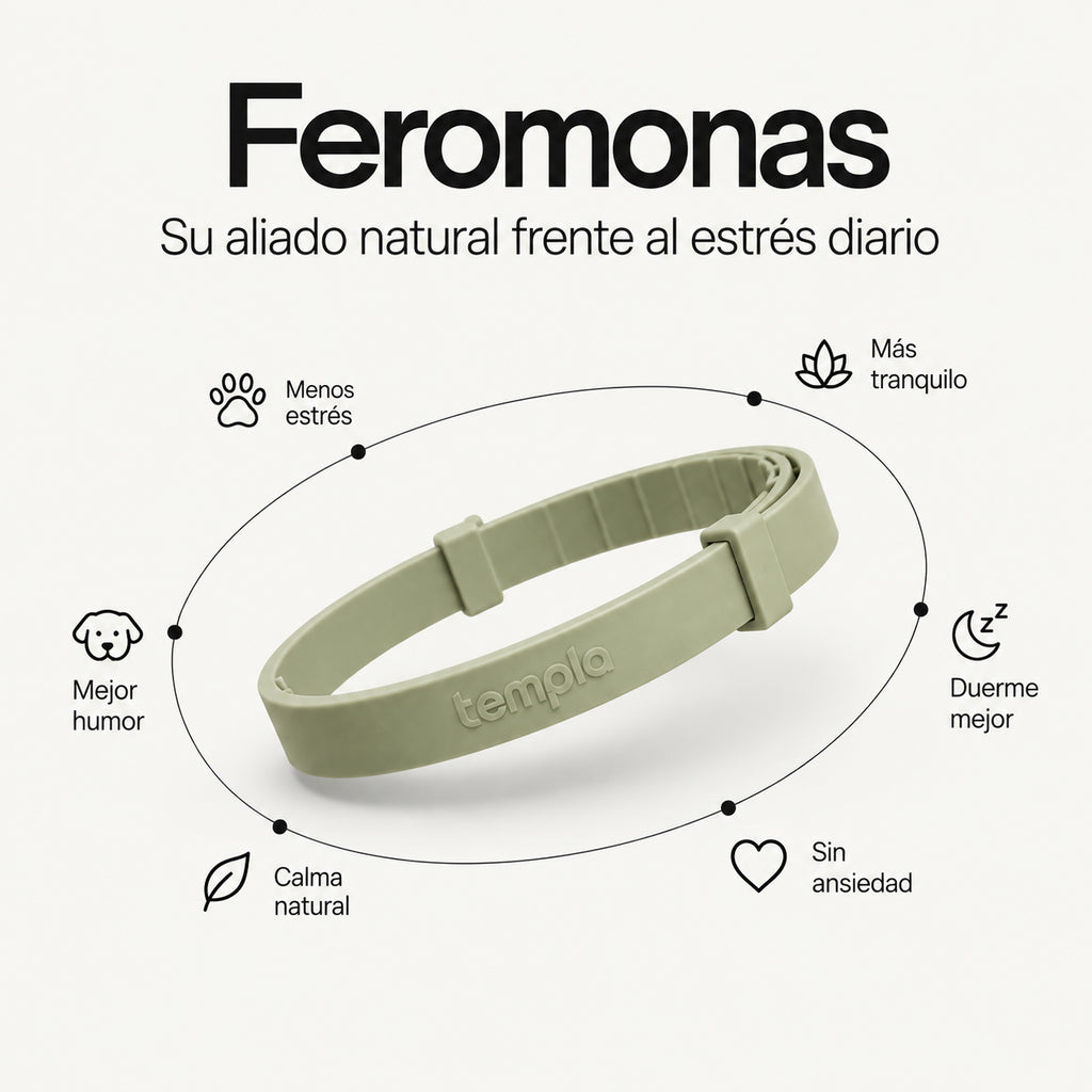 Templa® Collar Calmante